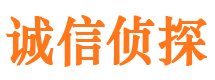 铜官山侦探公司